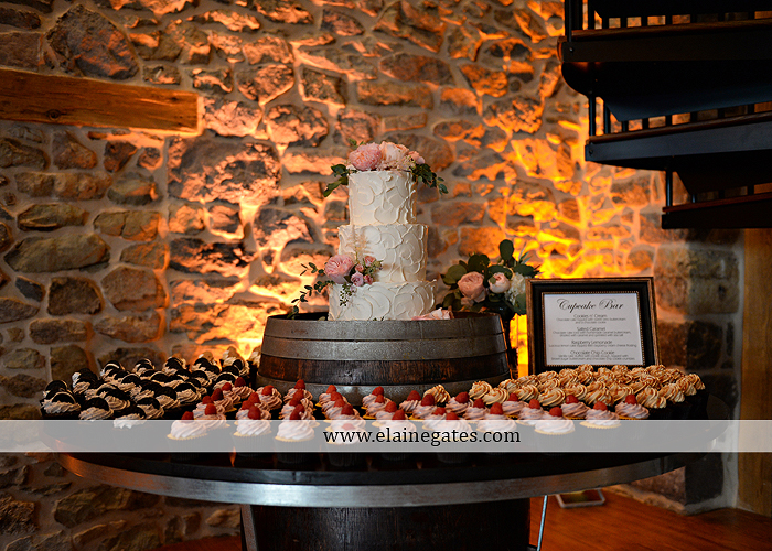 Harvest View Barn wedding photographer hershey farms pa planned perfection klock entertainment legends catering petals with style cocoa couture men's wearhouse david's bridal key jewelers30