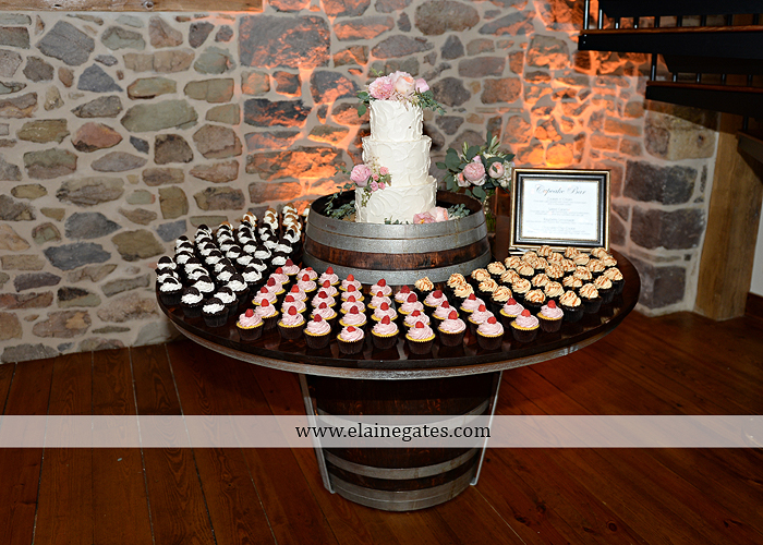 Harvest View Barn wedding photographer hershey farms pa planned perfection klock entertainment legends catering petals with style cocoa couture men's wearhouse david's bridal key jewelers58