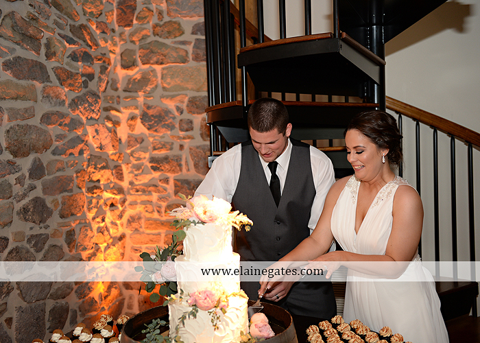 Harvest View Barn wedding photographer hershey farms pa planned perfection klock entertainment legends catering petals with style cocoa couture men's wearhouse david's bridal key jewelers63