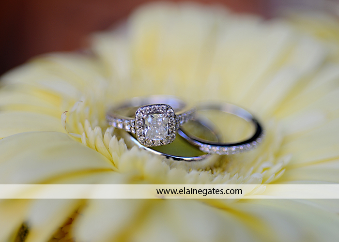 carlisle pa wedding photographer yellow  gerber daisy flood 1