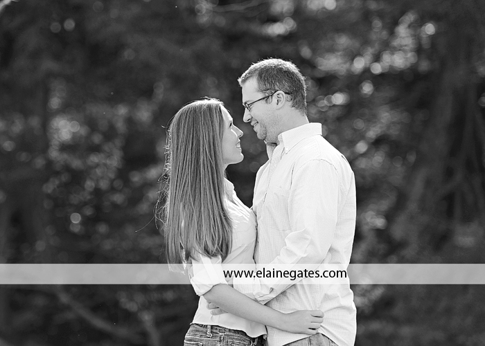 central pa fall engagement photographer dz 2