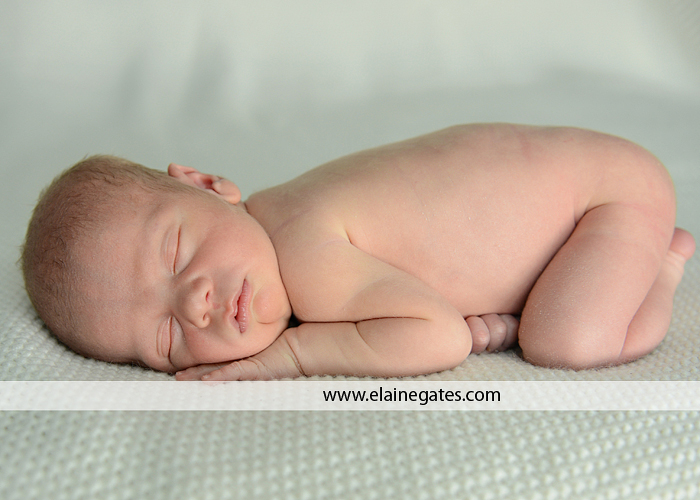 newborn portrait photographer lancaster pa cm