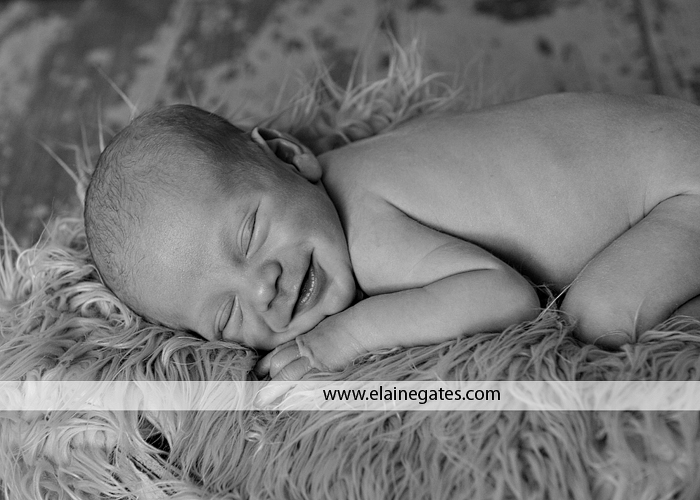 newborn portrait photographer lancaster pa cm 4