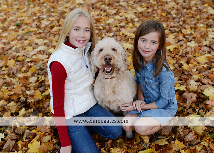 Mechanicsburg Central PA family portrait photographer outdoor girls daughters sisters dog husband wife mother father wood pile leaves trees eg 3