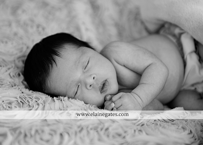 Mechanicsburg Central PA newborn baby portrait photographer girl sleeping indoor blanket bow knit hat mother father dog sonogram q 05