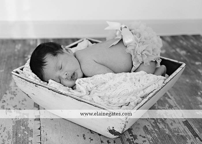 Mechanicsburg Central PA newborn baby portrait photographer girl sleeping indoor blanket bow knit hat mother father dog sonogram q 10
