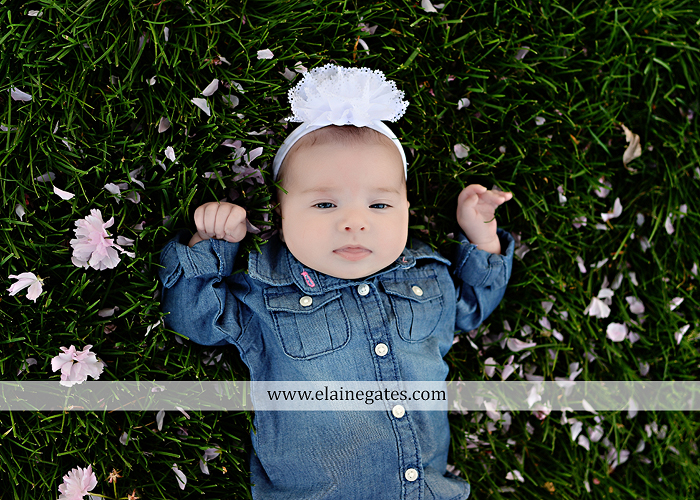 Mechanicsburg Central PA family portrait photographer outdoor children girls sister grass father mother flowers baby st 8