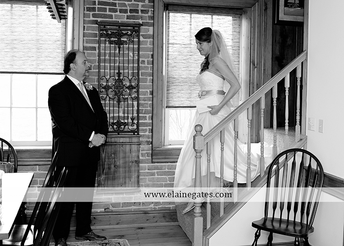 Ironstone Rance wedding photographer Elizabethtown pa pink yellow C&J Catering Complete Entertainment David's Bridal Strictly Formals Mountz Jewelers 19