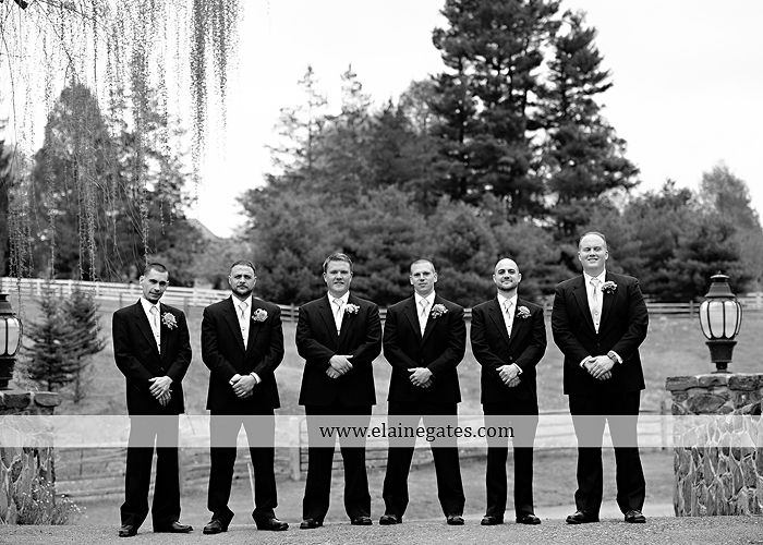 Ironstone Rance wedding photographer Elizabethtown pa pink yellow C&J Catering Complete Entertainment David's Bridal Strictly Formals Mountz Jewelers 40