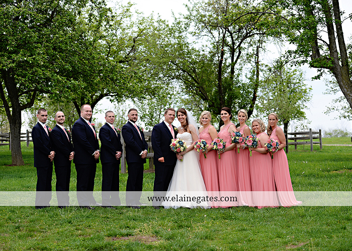 Ironstone Rance wedding photographer Elizabethtown pa pink yellow C&J Catering Complete Entertainment David's Bridal Strictly Formals Mountz Jewelers 47