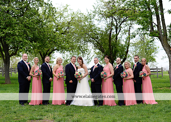 Ironstone Rance wedding photographer Elizabethtown pa pink yellow C&J Catering Complete Entertainment David's Bridal Strictly Formals Mountz Jewelers 49