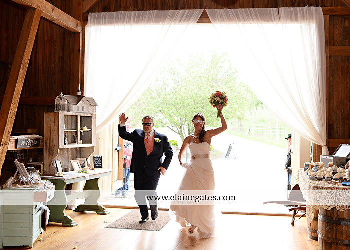 Ironstone Rance wedding photographer Elizabethtown pa pink yellow C&J Catering Complete Entertainment David's Bridal Strictly Formals Mountz Jewelers 52