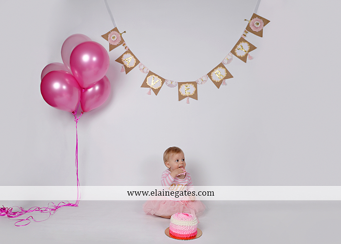 Mechanicsburg Central PA baby child portrait photographer girl outdoor indoor mom mother bench one year old birthday tutu balloons banner cake smash eat jt 6