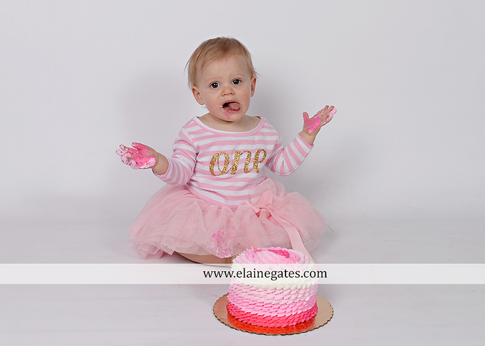 Mechanicsburg Central PA baby child portrait photographer girl outdoor indoor mom mother bench one year old birthday tutu balloons banner cake smash eat jt 7