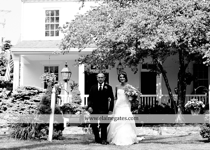 Riverdale Manor wedding photographer lancaster pa purple thyme and seasons petals with style mixed up productions blush beautiful rosamund vera weng azazie yazmin atlantic charter 41