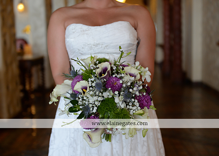 hershey-italian-lodge-wedding-photographer-purple-green-blue-dj-mad-hatter-costco-sublime-cupcakes-shades-of-pink-wedding-paper-divas-bombshell-brides-davids-bridal-vanscoy-maurer-bash-13