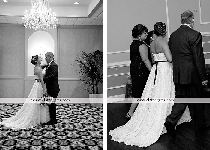 hershey-italian-lodge-wedding-photographer-purple-green-blue-dj-mad-hatter-costco-sublime-cupcakes-shades-of-pink-wedding-paper-divas-bombshell-brides-davids-bridal-vanscoy-maurer-bash-38