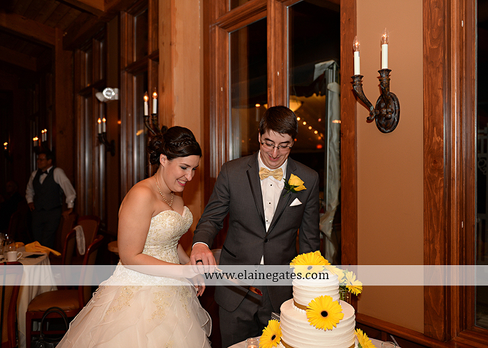 Liberty Forge wedding photographer yellow gray Altland House Mixed Up Productions Amy's Custom Cakery Royer's Courtney Evans Alfred Angelo Men's Wearhouse David's Bridal Zales Premiere 1 50