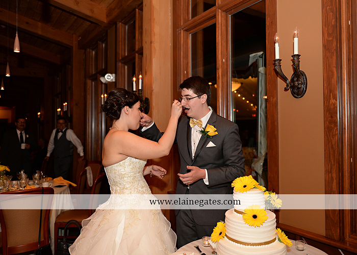 Liberty Forge wedding photographer yellow gray Altland House Mixed Up Productions Amy's Custom Cakery Royer's Courtney Evans Alfred Angelo Men's Wearhouse David's Bridal Zales Premiere 1 51
