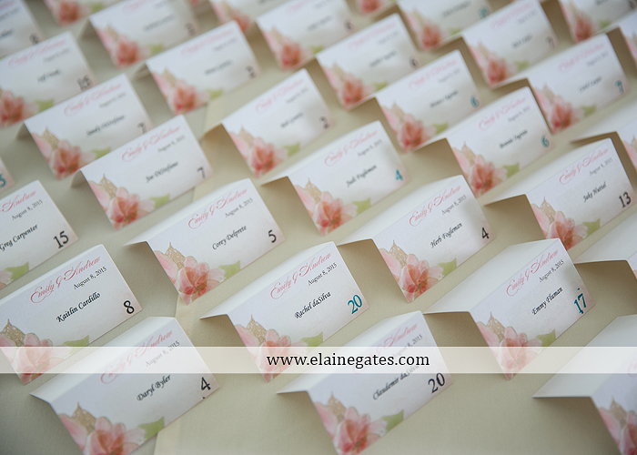 Bent Creek Country Club wedding photographer Lititz pa deserts etc. jeffrey's flowers dj freez wedding paper divas downstreet salon cocoa couture men's wearhouse david's bridal warrick jewelers yellow10