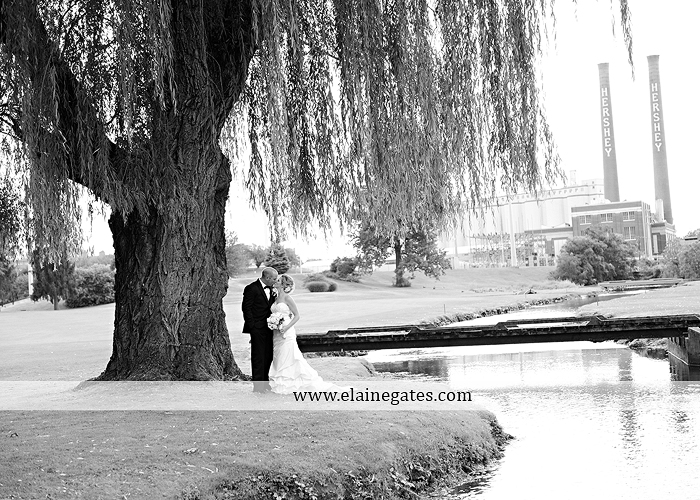 Bent Creek Country Club wedding photographer Lititz pa deserts etc. jeffrey's flowers dj freez wedding paper divas downstreet salon cocoa couture men's wearhouse david's bridal warrick jewelers yellow56