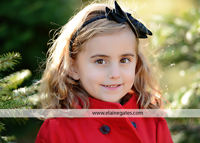 Big Sister Announcement Photo shoot central pa photographer christmas ar 1