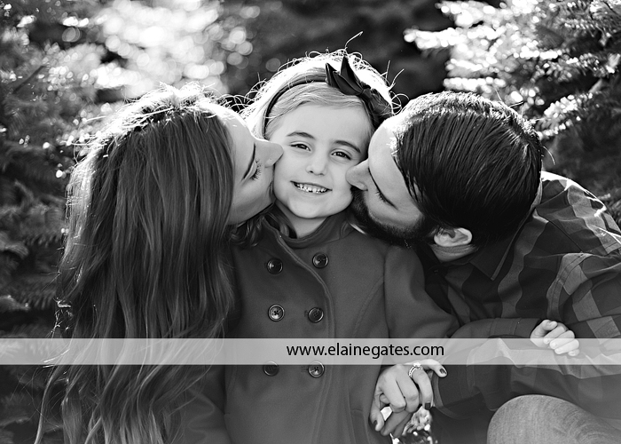 Big Sister Announcement Photo shoot central pa photographer christmas ar 2