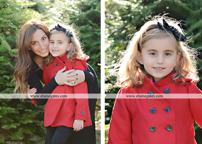 Big Sister Announcement Photo shoot central pa photographer christmas ar 3