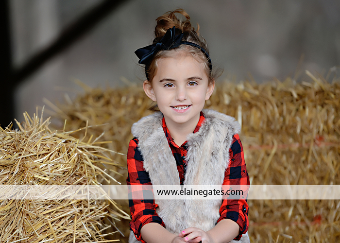 Big Sister Announcement Photo shoot central pa photographer christmas ar 4