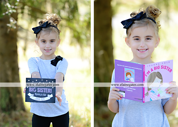 Big Sister Announcement Photo shoot central pa photographer christmas ar 5