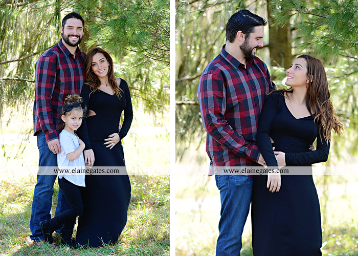 Big Sister Announcement Photo shoot central pa photographer christmas ar 6