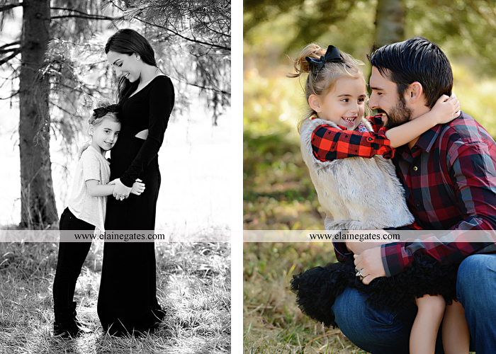 Big Sister Announcement Photo shoot central pa photographer christmas ar 7