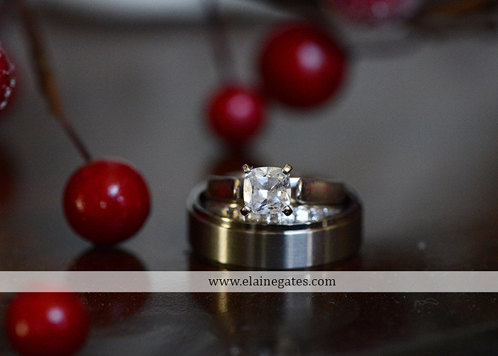 Capitol Rotunda Wedding Photographer Harrisburg red Sir D's Catering Camp Hill Bakery Wedding Paper Divas David's Bridal Men's Warehouse December 18