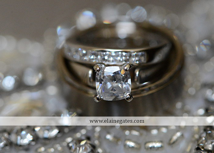 Capitol Rotunda Wedding Photographer Harrisburg red Sir D's Catering Camp Hill Bakery Wedding Paper Divas David's Bridal Men's Warehouse December 19