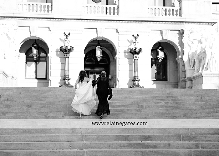 Capitol Rotunda Wedding Photographer Harrisburg red Sir D's Catering Camp Hill Bakery Wedding Paper Divas David's Bridal Men's Warehouse December 21