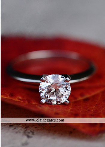 Harrisburg PA Colonial Country Club engagement Photographer df 6