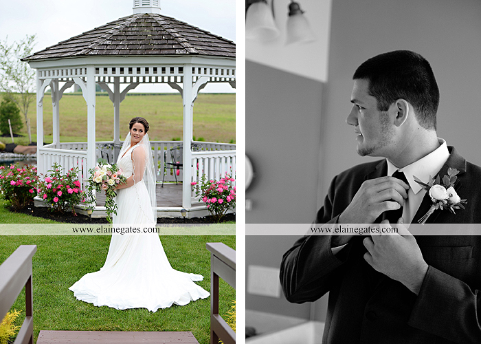 Harvest View Barn wedding photographer hershey farms pa planned perfection klock entertainment legends catering petals with style cocoa couture men's wearhouse david's bridal key jewelers11