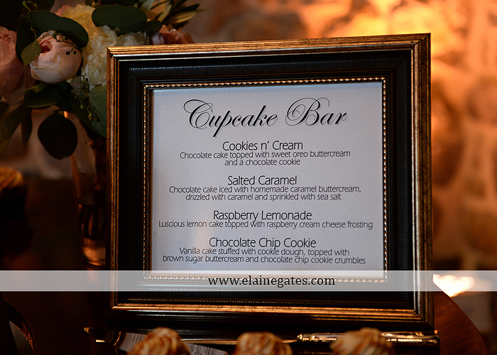 Harvest View Barn wedding photographer hershey farms pa planned perfection klock entertainment legends catering petals with style cocoa couture men's wearhouse david's bridal key jewelers31