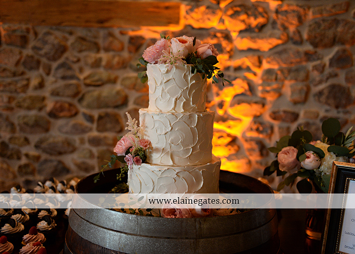 Harvest View Barn wedding photographer hershey farms pa planned perfection klock entertainment legends catering petals with style cocoa couture men's wearhouse david's bridal key jewelers32