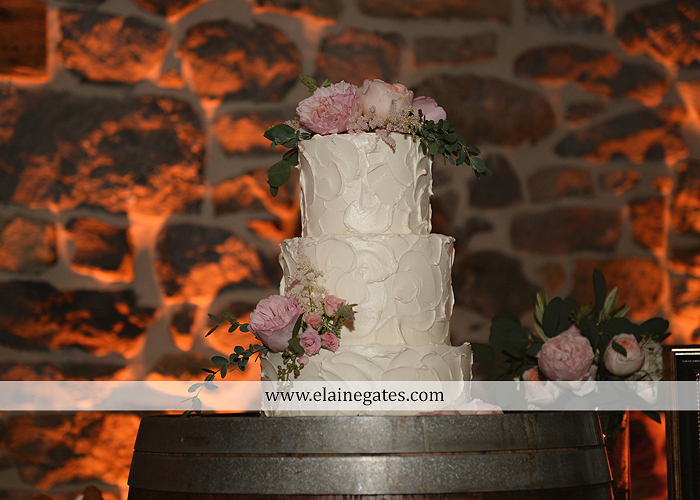 Harvest View Barn wedding photographer hershey farms pa planned perfection klock entertainment legends catering petals with style cocoa couture men's wearhouse david's bridal key jewelers59