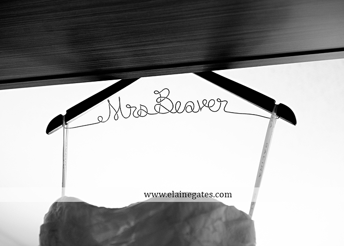 hershey-italian-lodge-wedding-photographer-purple-green-blue-dj-mad-hatter-costco-sublime-cupcakes-shades-of-pink-wedding-paper-divas-bombshell-brides-davids-bridal-vanscoy-maurer-bash-01