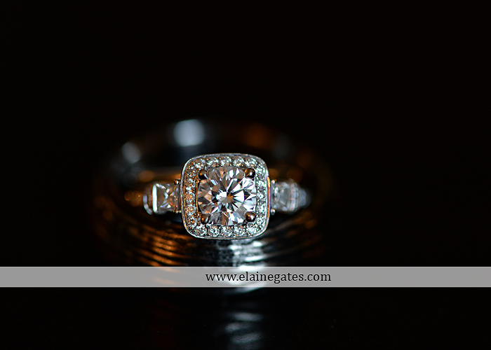 hershey-italian-lodge-wedding-photographer-purple-green-blue-dj-mad-hatter-costco-sublime-cupcakes-shades-of-pink-wedding-paper-divas-bombshell-brides-davids-bridal-vanscoy-maurer-bash-03