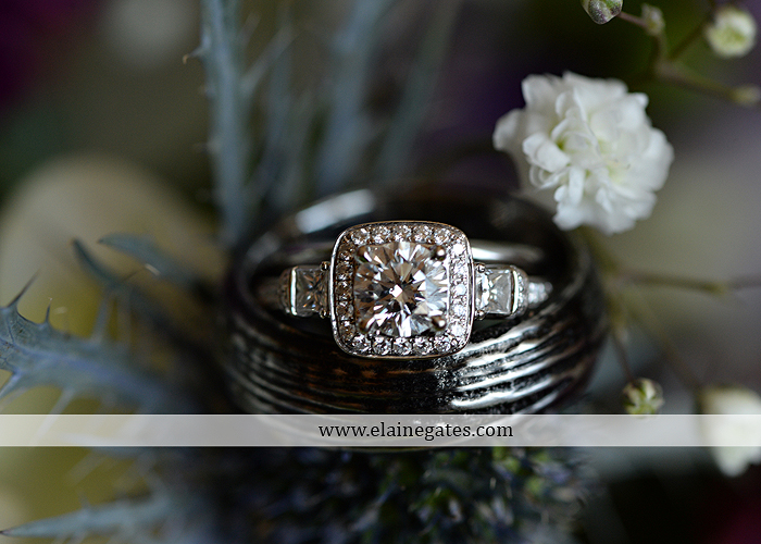 hershey-italian-lodge-wedding-photographer-purple-green-blue-dj-mad-hatter-costco-sublime-cupcakes-shades-of-pink-wedding-paper-divas-bombshell-brides-davids-bridal-vanscoy-maurer-bash-04