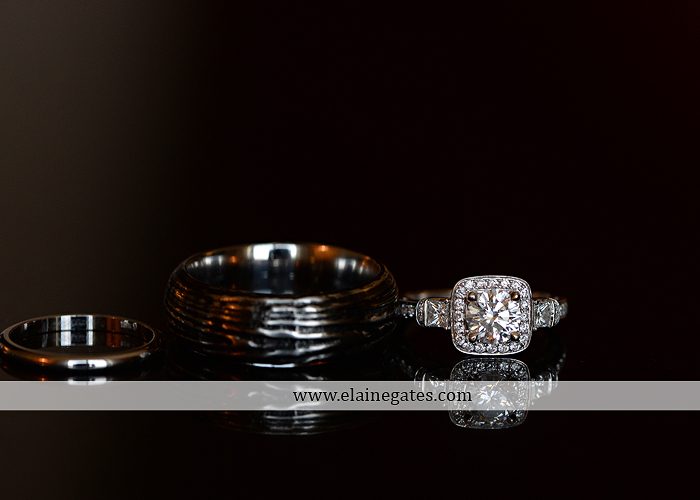 hershey-italian-lodge-wedding-photographer-purple-green-blue-dj-mad-hatter-costco-sublime-cupcakes-shades-of-pink-wedding-paper-divas-bombshell-brides-davids-bridal-vanscoy-maurer-bash-05