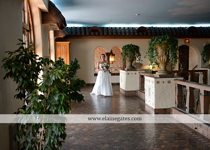 hershey-italian-lodge-wedding-photographer-purple-green-blue-dj-mad-hatter-costco-sublime-cupcakes-shades-of-pink-wedding-paper-divas-bombshell-brides-davids-bridal-vanscoy-maurer-bash-08