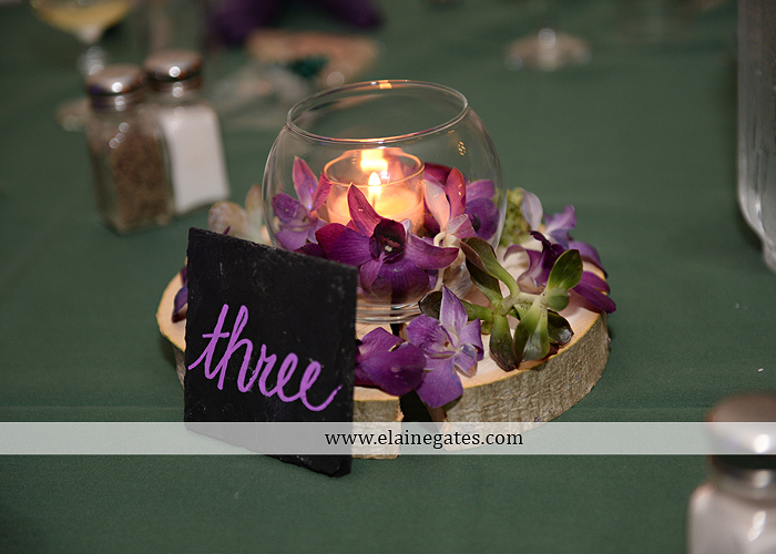 hershey-italian-lodge-wedding-photographer-purple-green-blue-dj-mad-hatter-costco-sublime-cupcakes-shades-of-pink-wedding-paper-divas-bombshell-brides-davids-bridal-vanscoy-maurer-bash-32