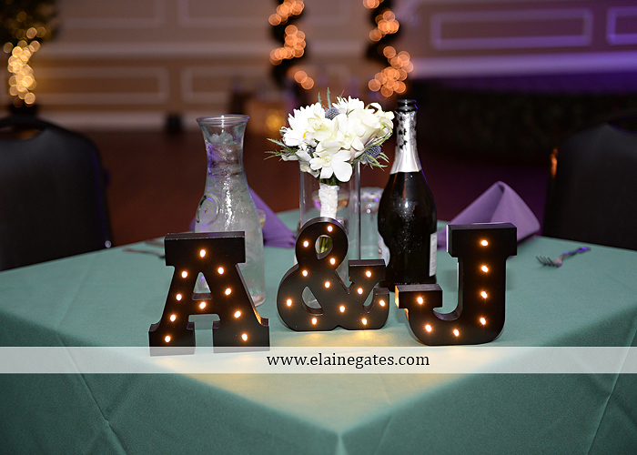 hershey-italian-lodge-wedding-photographer-purple-green-blue-dj-mad-hatter-costco-sublime-cupcakes-shades-of-pink-wedding-paper-divas-bombshell-brides-davids-bridal-vanscoy-maurer-bash-33