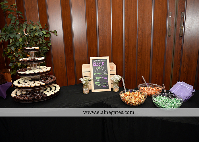 hershey-italian-lodge-wedding-photographer-purple-green-blue-dj-mad-hatter-costco-sublime-cupcakes-shades-of-pink-wedding-paper-divas-bombshell-brides-davids-bridal-vanscoy-maurer-bash-34