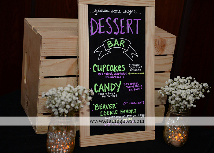 hershey-italian-lodge-wedding-photographer-purple-green-blue-dj-mad-hatter-costco-sublime-cupcakes-shades-of-pink-wedding-paper-divas-bombshell-brides-davids-bridal-vanscoy-maurer-bash-36