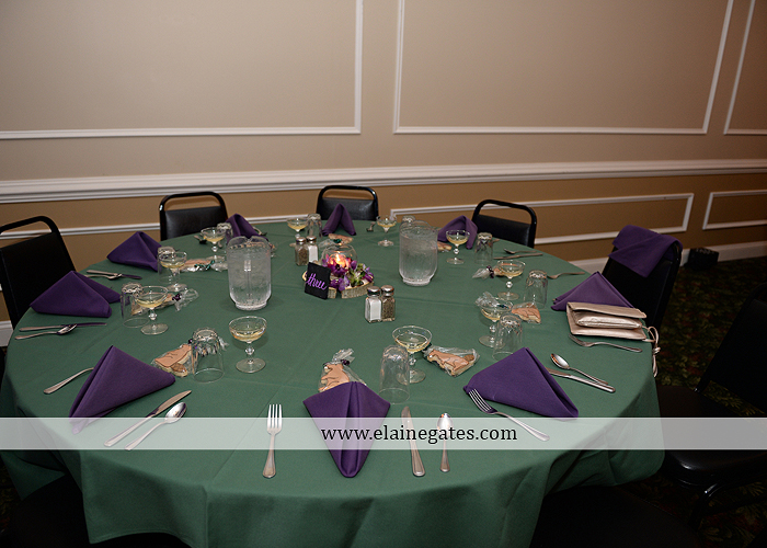 hershey-italian-lodge-wedding-photographer-purple-green-blue-dj-mad-hatter-costco-sublime-cupcakes-shades-of-pink-wedding-paper-divas-bombshell-brides-davids-bridal-vanscoy-maurer-bash-37